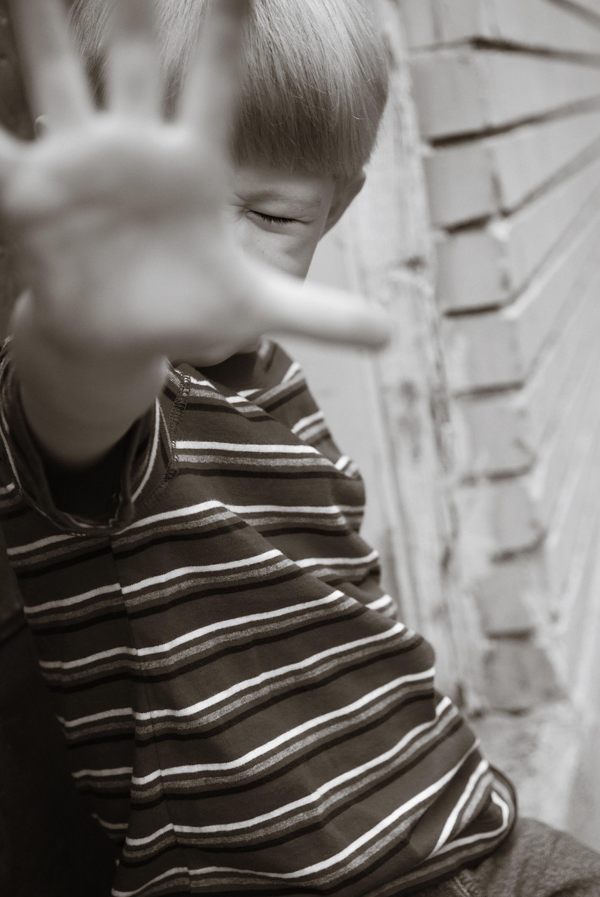 boy-3081940_1280Free Photos at divvypixel.com de Pixabay